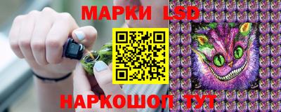стаф Будённовск